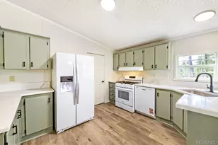 580 Forest Dr, Bailey, CO 80421 - Photo 3