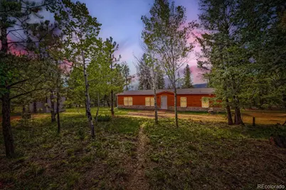 580 Forest Drive, Bailey, CO 80421 - Photo 1