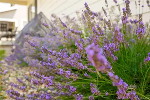 4995 Coltin Trl, Castle Rock, CO 80104 - Photo 33