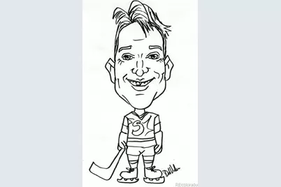 13024 S Stuart Way, Parker, CO 80134 - Photo 33