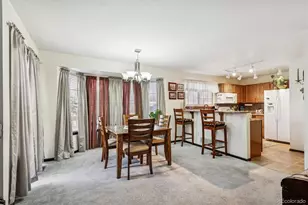 13024 S Stuart Way, Parker, CO 80134 - Photo 9