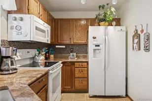 13024 S Stuart Way, Parker, CO 80134 - Photo 13