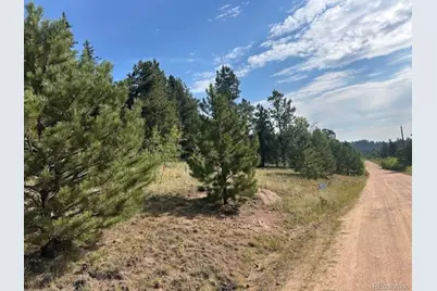 987 Eagle Rock Road, Florissant, CO 80816 - Photo 9