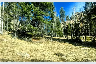 987 Eagle Rock Road, Florissant, CO 80816 - Photo 1