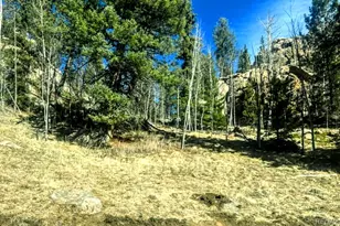 987 Eagle Rock Rd, Florissant, CO 80816 - Photo 1