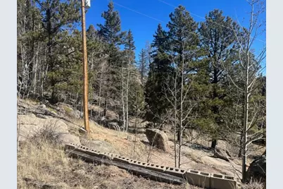 987 Eagle Rock Road, Florissant, CO 80816 - Photo 5