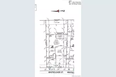 8828 Whiteclover Street, Littleton, CO 80125 - Photo 33