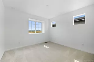 8828 Whiteclover St, Littleton, CO 80125 - Photo 23