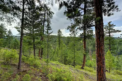 6855 Lynx Lair Road, Evergreen, CO 80439 - Photo 5