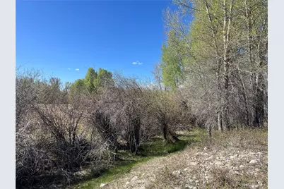 Cr 361A, Buena Vista, CO 81211 - Photo 45