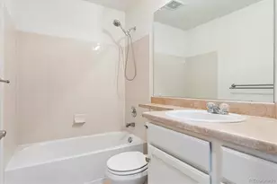 3912 Ute Mountain Trail, Castle Rock, CO 80109 - Photo 11