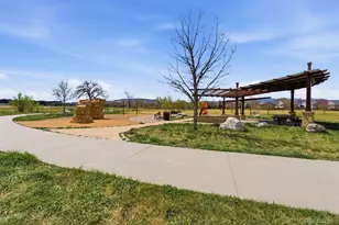 6848 Lupine Way, Arvada, CO 80007 - Photo 49