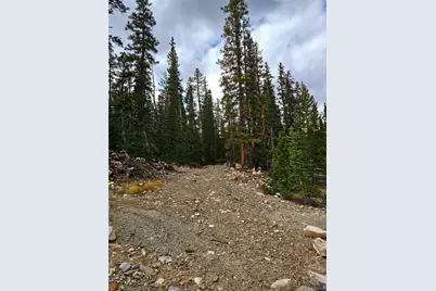 387 El Lobo Lane, Fairplay, CO 80440 - Photo 3