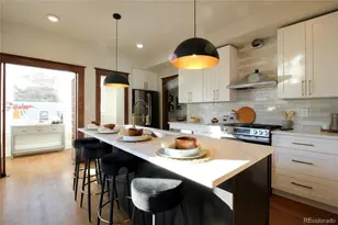 3259 N Race St, Denver, CO 80205 - Photo 9