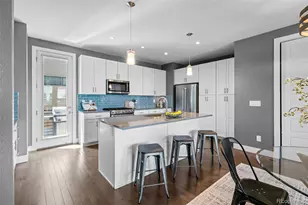 2438 N Washington St, Denver, CO 80205 - Photo 15
