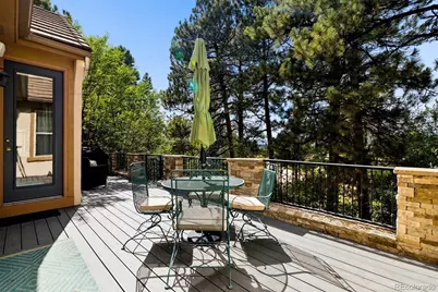 5013 Vermillion Court, Castle Rock, CO 80108 - Photo 47