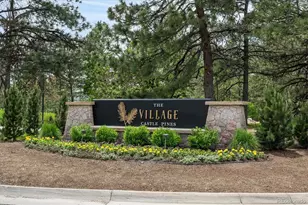 5013 Vermillion Ct, Castle Rock, CO 80108 - Photo 49