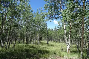 782 Bow String Rd, Como, CO 80432 - Photo 1
