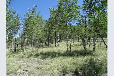 782 Bowstring Road, Como, CO 80432 - Photo 19