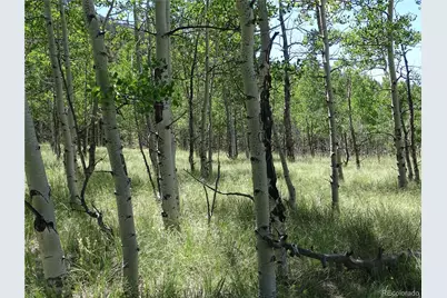 782 Bowstring Road, Como, CO 80432 - Photo 13