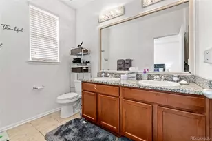 3673 Champagne Ave, Castle Rock, CO 80109 - Photo 17