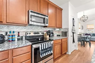 3673 Champagne Ave, Castle Rock, CO 80109 - Photo 9