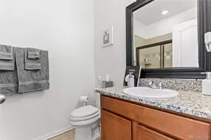 3673 Champagne Ave, Castle Rock, CO 80109 - Photo 21