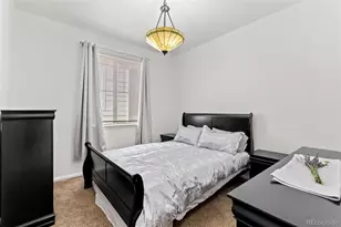 3673 Champagne Ave, Castle Rock, CO 80109 - Photo 23