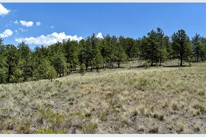 4278 County Road 71, Guffey, CO 80820 - Photo 33