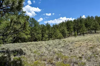 4278 County Road 71, Guffey, CO 80820 - Photo 9