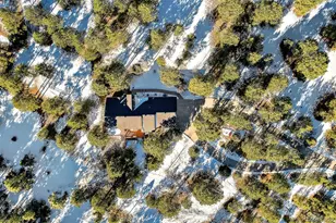 725 Lancers Ct W, Monument, CO 80132 - Photo 43