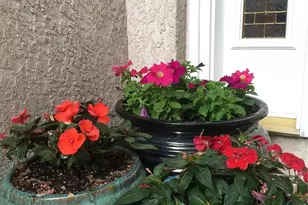 725 Lancers Ct W, Monument, CO 80132 - Photo 47