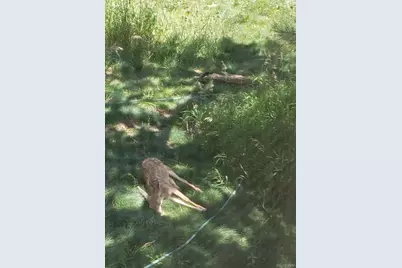 725 Lancers Court W, Monument, CO 80132 - Photo 49