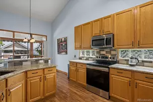 1 Birmingham Ct, Highlands Ranch, CO 80130 - Photo 15