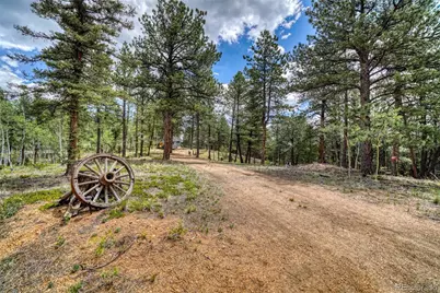 2927 Pathfinder Road, Florissant, CO 80816 - Photo 29