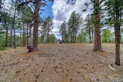 2927 Pathfinder Road, Florissant, CO 80816 - Photo 33