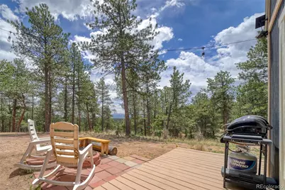 2927 Pathfinder Road, Florissant, CO 80816 - Photo 11