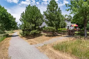 434 Thorn Apple Way, Castle Pines, CO 80108 - Photo 43