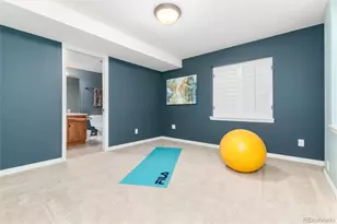 434 Thorn Apple Way, Castle Pines, CO 80108 - Photo 31