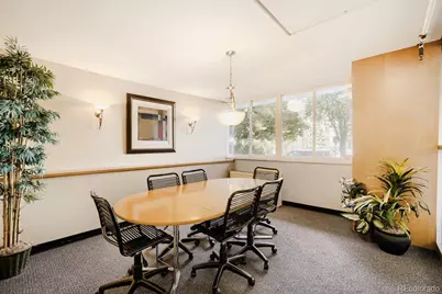 1196 N Grant Street #305, Denver, CO 80203 - Photo 11