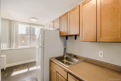 1196 N Grant Street #305, Denver, CO 80203 - Photo 3