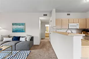 1186 Opal St, Broomfield, CO 80020 - Photo 11