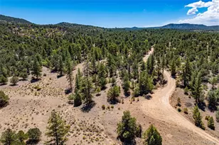 948 White Wing Way, Cotopaxi, CO 81223 - Photo 1