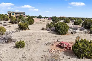 459 Bowie Rd, Penrose, CO 81240 - Photo 39