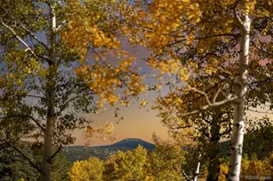 31753 Miwok Trail, Evergreen, CO 80439 - Photo 49