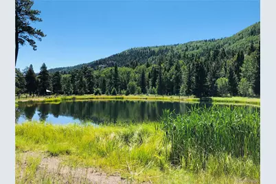 172 Elk Meadow Run, Antonito, CO 81120 - Photo 21