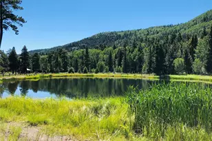 172 Elk Meadow Run, Antonito, CO 81120 - Photo 21