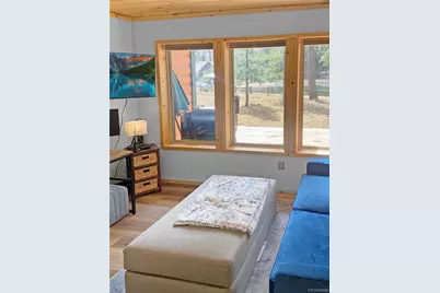 172 Elk Meadow Run, Antonito, CO 81120 - Photo 7