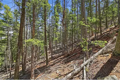 7070 Cr 1, Cripple Creek, CO 80813 - Photo 21