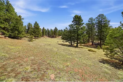 7070 Cr 1, Cripple Creek, CO 80813 - Photo 3